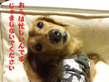 くるくる・・・♪