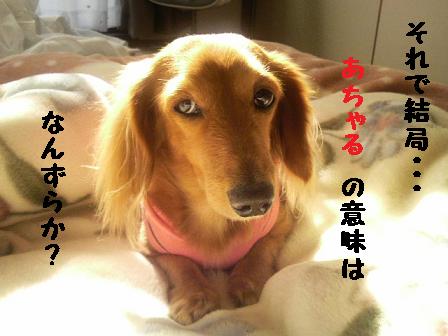 あちゃるの意味♪