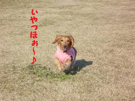 あちゃるの好きな場所♪
