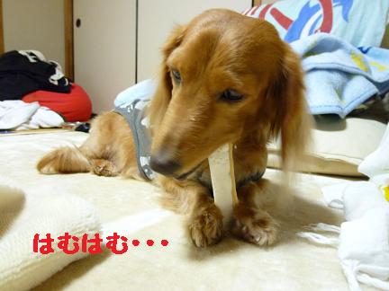 モンスターあちゃる。