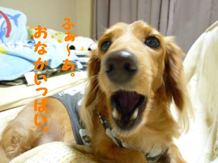 モンスターあちゃる。