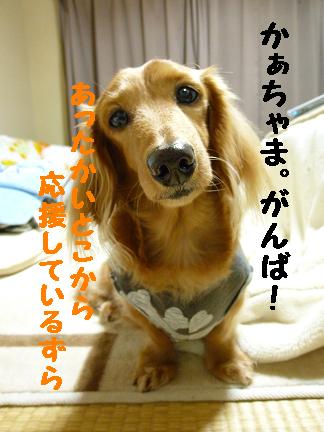 歯医者なの・・・