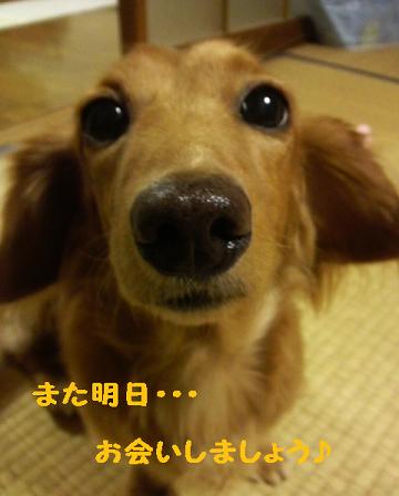 焼き肉な日曜日♪