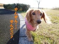 あちゃるの好きな場所♪ 2010/12/21 20:12:03