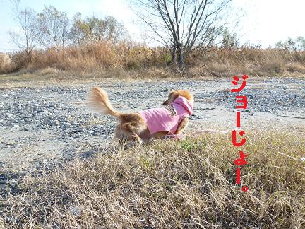 あちゃるの好きな場所♪
