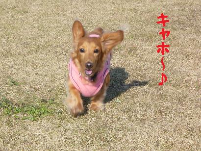 あちゃるの好きな場所♪