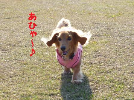 あちゃるの好きな場所♪