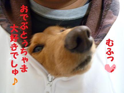 寒い朝ですから・・・