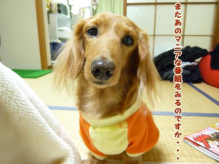 吉田さん♪