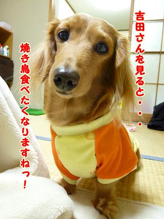 吉田さん♪