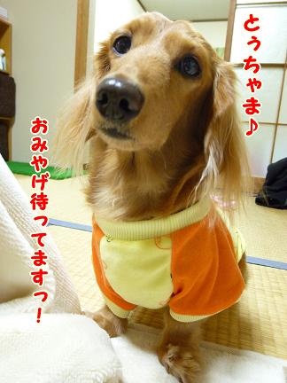 吉田さん♪