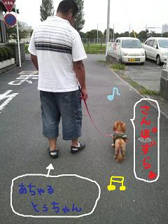 みなしごはっち。