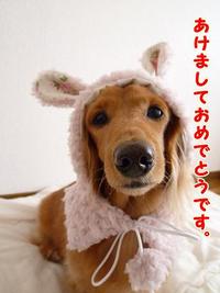 あけおめです♪ 2011/01/01 22:45:45