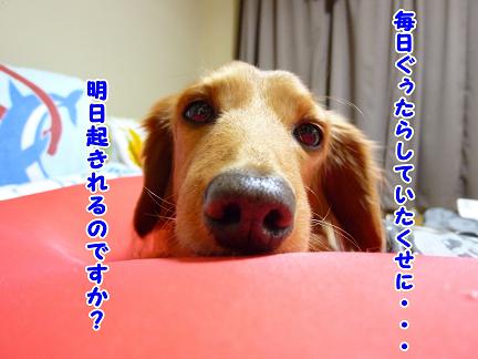 休みが終わっちゃう・・・