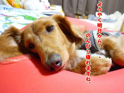休みが終わっちゃう・・・