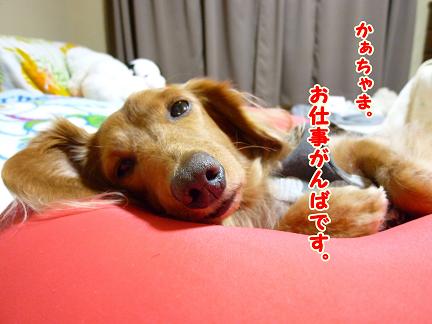 休みが終わっちゃう・・・