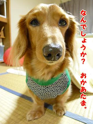 家訓