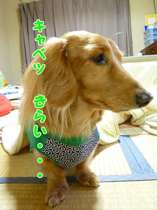 家訓