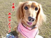 今日は誕生日☆ 2011/01/07 12:23:44
