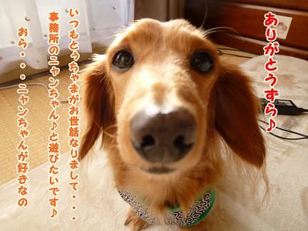 あちゃるより・・・