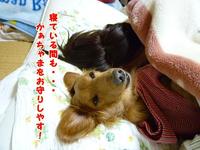 ６畳で生活する家族。 2011/01/14 20:06:41