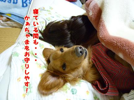 ６畳で生活する家族。