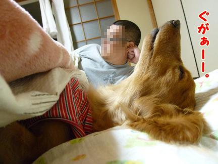 ６畳で生活する家族。
