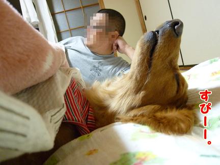 ６畳で生活する家族。
