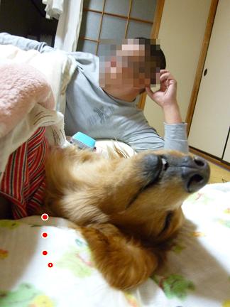 ６畳で生活する家族。