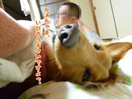 ６畳で生活する家族。