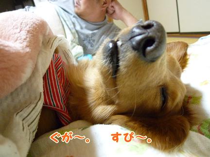 ６畳で生活する家族。