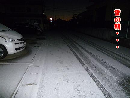 雪でしたね・・・