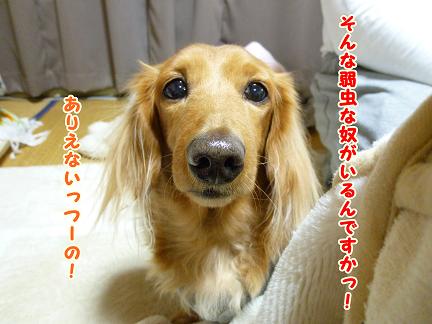 雪でしたね・・・