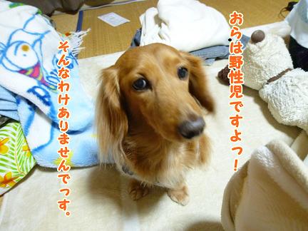 雪でしたね・・・