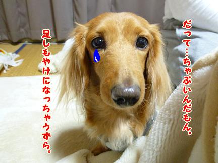 雪でしたね・・・