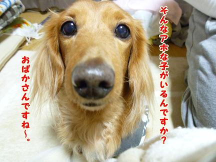 雪でしたね・・・