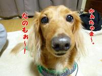 ある日の親子・・・ 2011/01/20 19:52:26