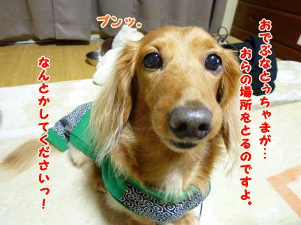 ある日の親子・・・