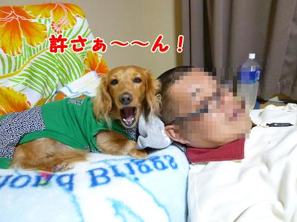 ある日の親子・・・
