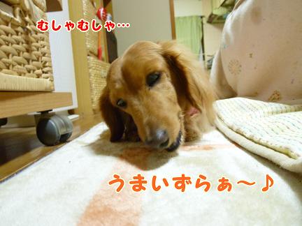 おさぼり中・・・