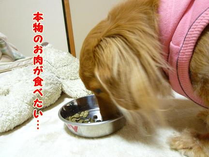 おさぼり中・・・