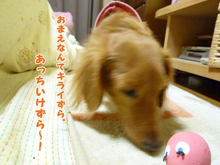 魅惑のたまごちゃん？