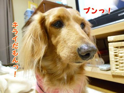 魅惑のたまごちゃん？
