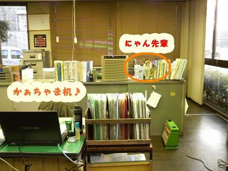 がんばっ有吉さん♪