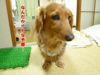 お風呂の日・・・ 2011/02/07 20:39:52