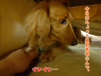お風呂の日・・・