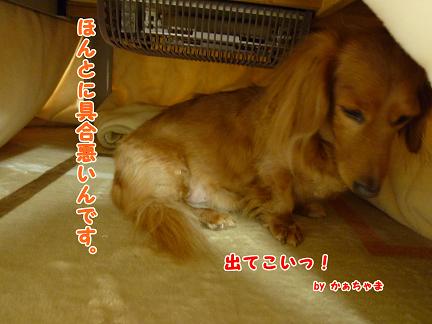 お風呂の日・・・