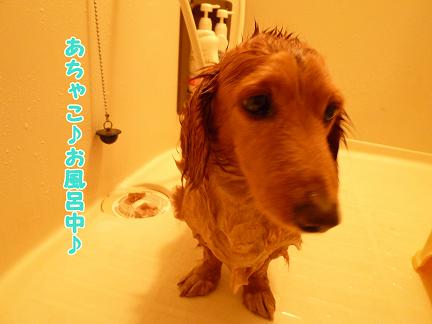 お風呂の日・・・