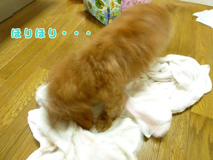 お風呂の日・・・