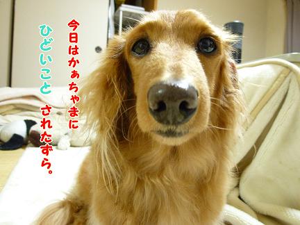 お風呂の日・・・
